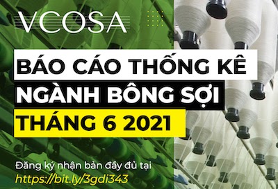 [Họp Ban Chấp hành VCOSA] - Sơ kết hoạt động 6 tháng đầu năm 2021